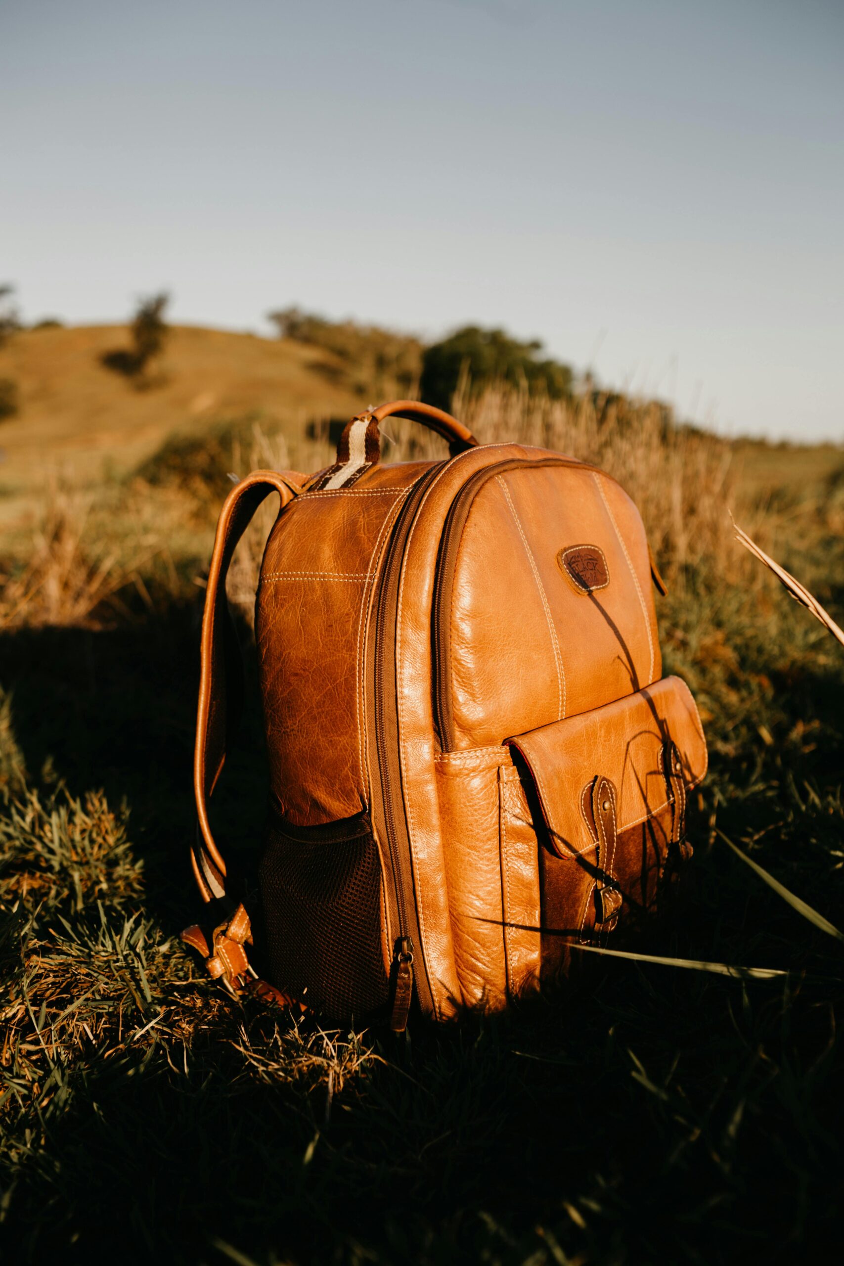 Leather Backpacks